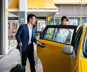 The Coconest Comfort Stay